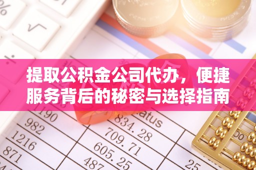 株洲提取公积金公司代办，便捷服务背后的秘密与选择指南