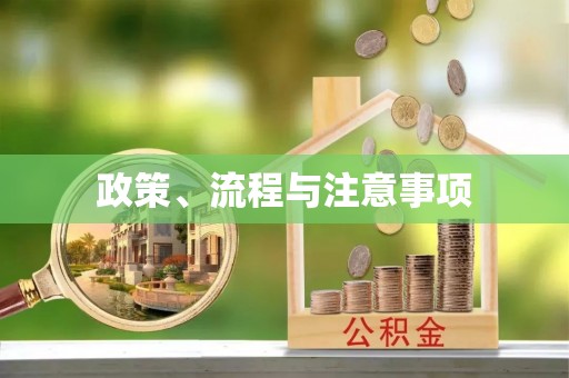 株洲政策、流程与注意事项