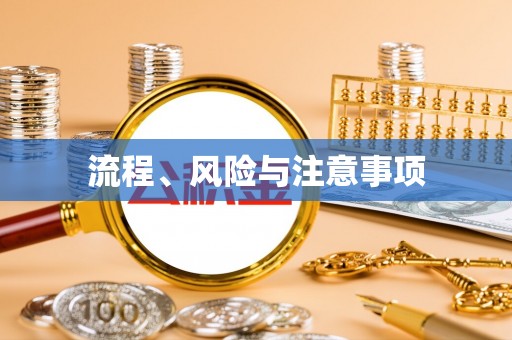 株洲流程、风险与注意事项